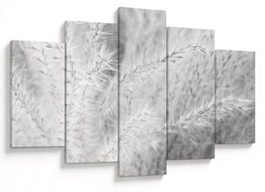 Kép - Pampafű N⁰1 (150x105 cm)