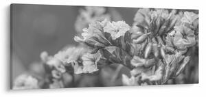 Kép - Szárított virágok (120x50 cm)