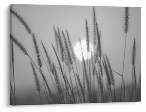 Kép - Mező naplementében (70x50 cm)