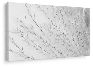 Kép - Pampafű N⁰2 (90x60 cm)