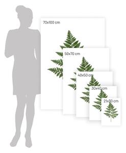 Fern Green poszter