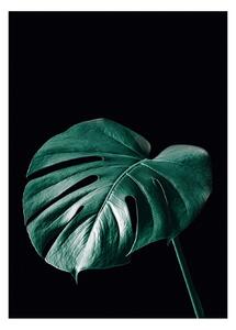 Dark Monstera poszter