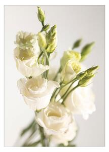 Elegant Flowers poszter