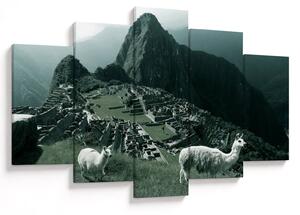 Kép - Lámák a perui Machu Picchunál (150x105 cm)