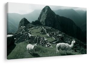Kép - Lámák a perui Machu Picchunál (90x60 cm)