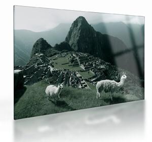 Üveg kép - Lámák a perui Machu Picchunál (70x50 cm)