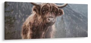 Kép - Highlander tehén (120x50 cm)