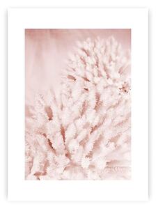 Pastel Pink II poszter