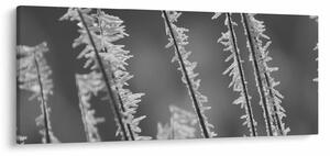 Kép - Fagyos hideg (120x50 cm)