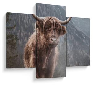 Kép - Highlander tehén (90x60 cm)