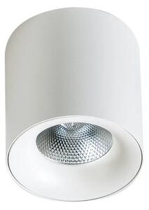 Led spotlámpa Mane 20W fehér