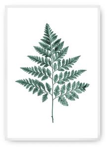 Fern Emerald Green poszter