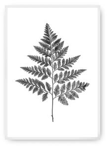 Fern Grey poszter