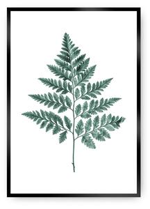 Fern Emerald Green poszter