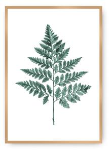 Fern Emerald Green poszter