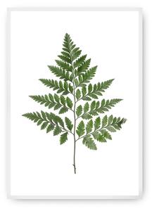 Fern Green poszter