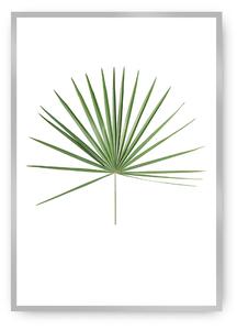Tropical Leaf Green poszter
