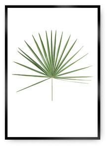 Tropical Leaf zöld poszter