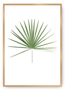 Tropical Leaf Green poszter