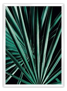 Dark Palm Tree poszter