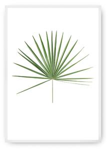 Tropical Leaf Green poszter
