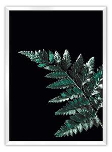Dark Fern Leaf poszter