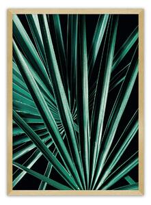 Dark Palm Tree poszter