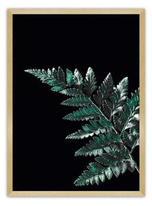 Dark Fern Leaf poszter