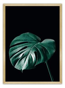Dark Monstera poszter
