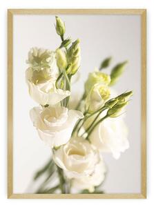 Elegant Flowers poszter