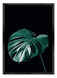 Dark Monstera poszter