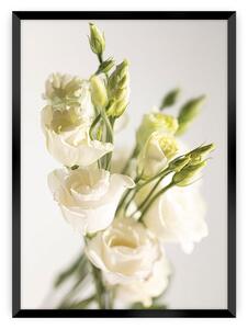 Elegant Flowers poszter