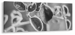 Kép - Őszi természet (120x50 cm)