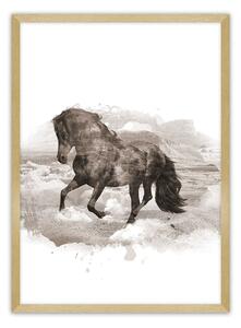 Horse poszter