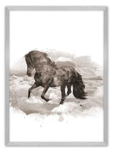 Horse poszter