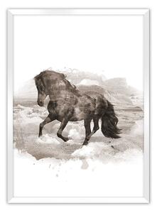 Horse poszter