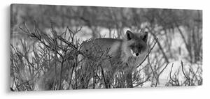 Kép - Róka télen (120x50 cm)