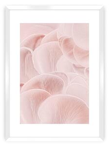 Pastel Pink I poszter