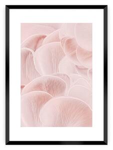 Pastel Pink I poszter