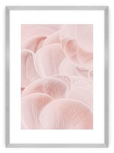 Pastel Pink I poszter