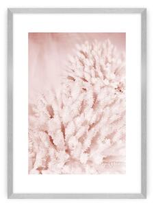 Pastel Pink II poszter