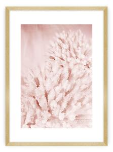 Pastel Pink II poszter