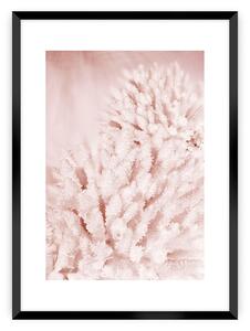 Pastel Pink II poszter