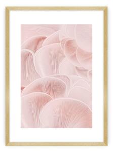 Pastel Pink I poszter