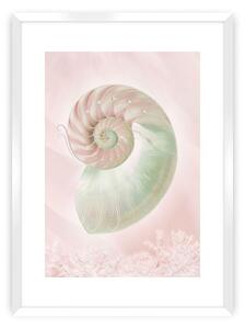 Pastel Pink III poszter