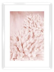 Pastel Pink II poszter