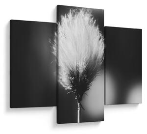Kép - Fekete-fehér pamutfű (90x60 cm)