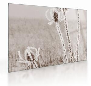 Üveg kép - Gyűszű télen (70x50 cm)