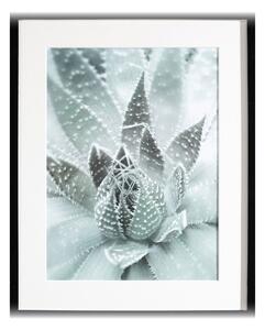 Succulents III kép 40x50cm