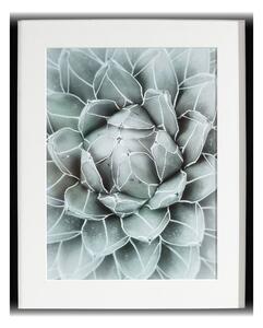 Succulents II kép 40x50cm